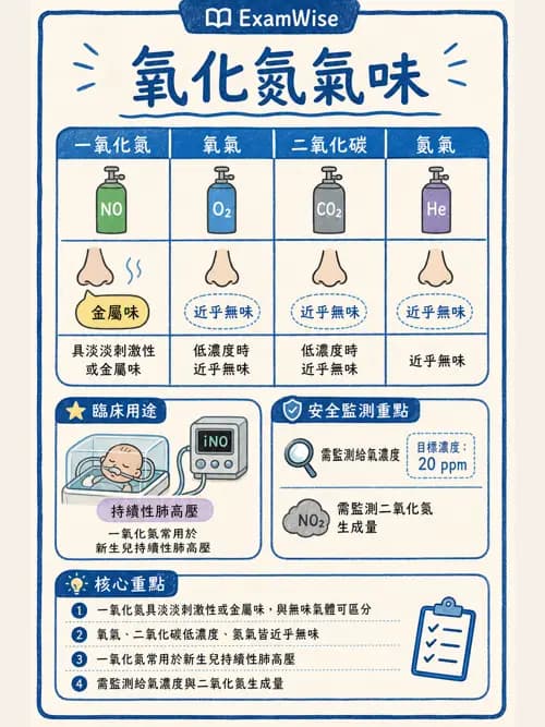 呼吸治療師 - 醫療氣體製造與儲存 - AI 圖文解析預覽