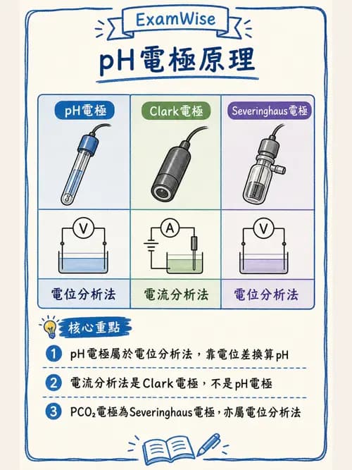 呼吸治療師 - 動脈血氣體分析設備 - AI 圖文解析預覽