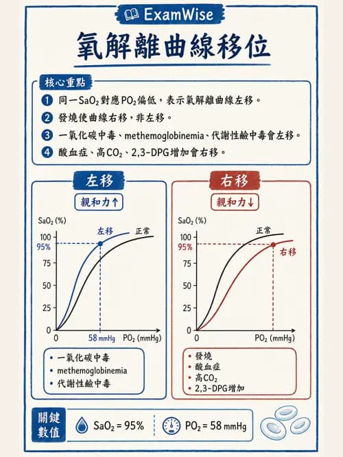 呼吸治療師 - 動脈血氣體分析設備 - AI 圖文解析預覽