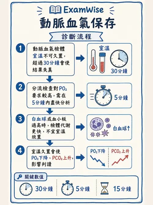 呼吸治療師 - 動脈血氣體分析設備 - AI 圖文解析預覽