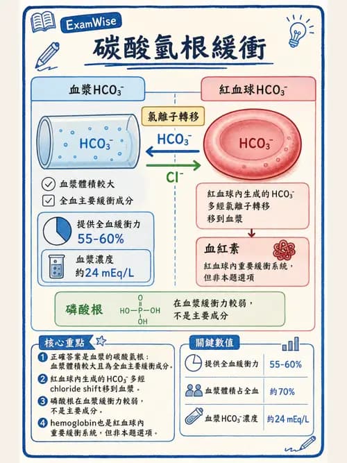 呼吸治療師 - 動脈血氣體分析設備 - AI 圖文解析預覽
