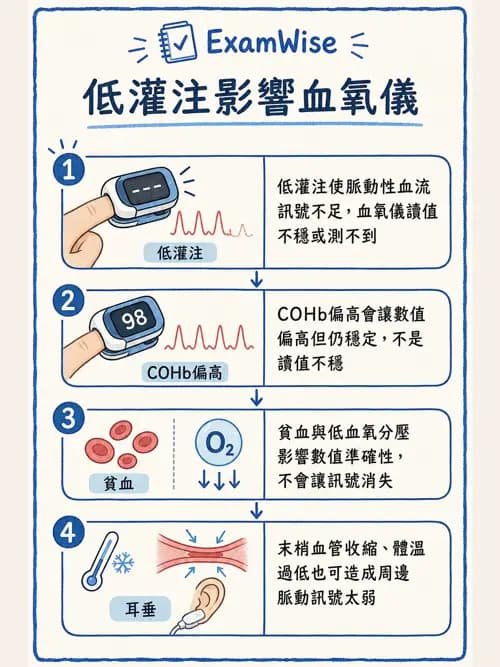 呼吸治療師 - 非侵入性呼吸監測設備 - AI 圖文解析預覽