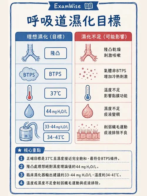 呼吸治療師 - 濕氣治療設備 - AI 圖文解析預覽