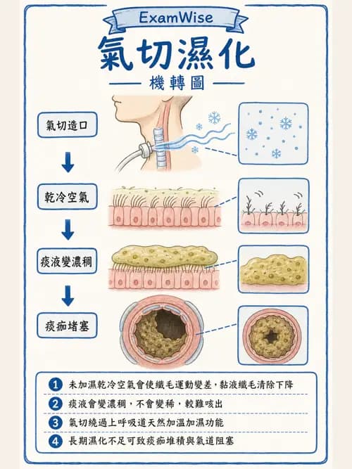 呼吸治療師 - 濕氣治療設備 - AI 圖文解析預覽