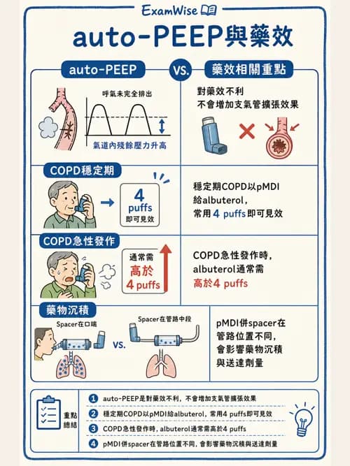 呼吸治療師 - 吸入性藥物噴霧設備 - AI 圖文解析預覽