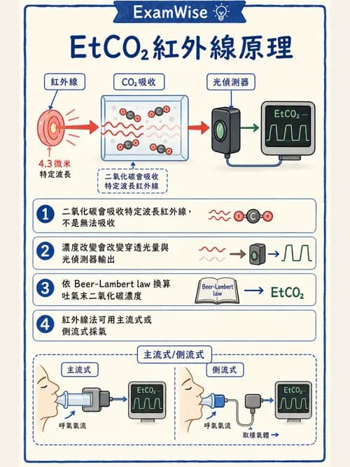 呼吸治療師 - 非侵入性呼吸監測設備 - AI 圖文解析預覽