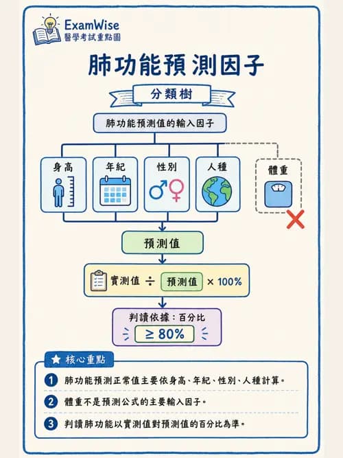 呼吸治療師 - 呼吸機械力學監測 - AI 圖文解析預覽