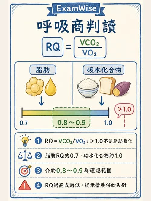 呼吸治療師 - 非侵入性呼吸監測設備 - AI 圖文解析預覽