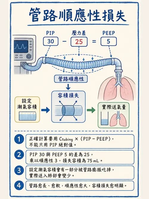 呼吸治療師 - 呼吸機械力學監測 - AI 圖文解析預覽
