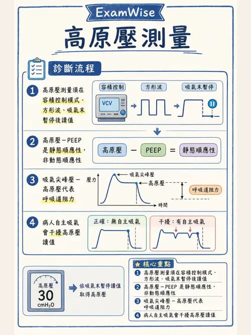 呼吸治療師 - 呼吸機械力學監測 - AI 圖文解析預覽