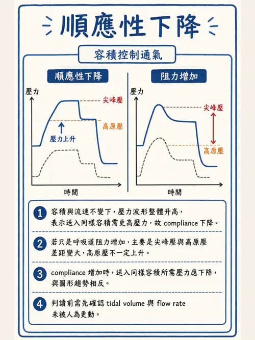 呼吸治療師 - 呼吸機械力學監測 - AI 圖文解析預覽