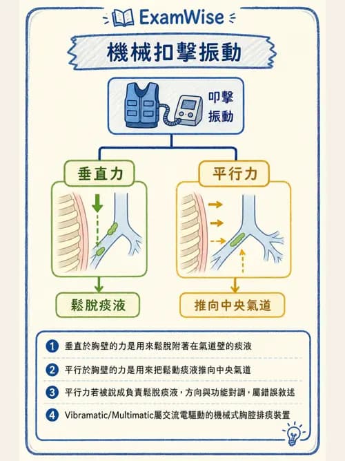 呼吸治療師 - 胸部擴張與物理治療設備 - AI 圖文解析預覽