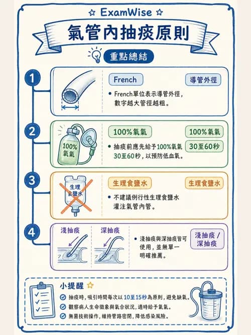 呼吸治療師 - 呼吸道照護與抽痰設備 - AI 圖文解析預覽