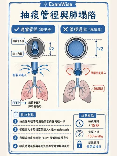 呼吸治療師 - 呼吸道照護與抽痰設備 - AI 圖文解析預覽