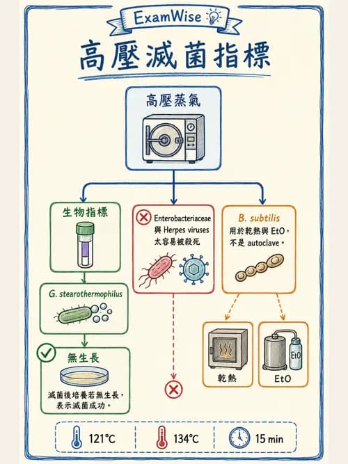 呼吸治療師 - 呼吸照護設備消毒 - AI 圖文解析預覽