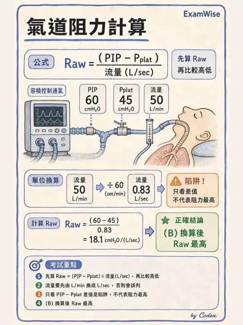 呼吸治療師 - 機械通氣生理 - AI 圖文解析預覽
