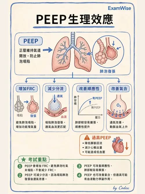 呼吸治療師 - 正壓通氣生理影響與合併症 - AI 圖文解析預覽