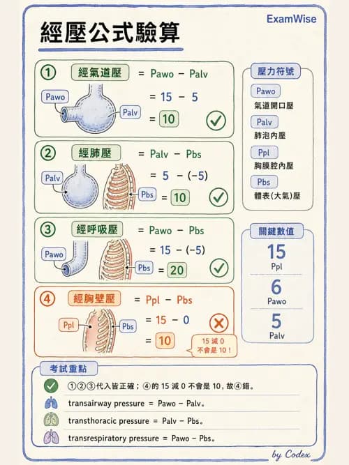 呼吸治療師 - 機械通氣生理 - AI 圖文解析預覽