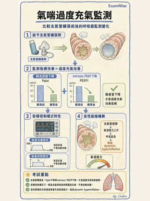呼吸治療師 - 臨床設定、參數調整與脫離 - AI 圖文解析預覽