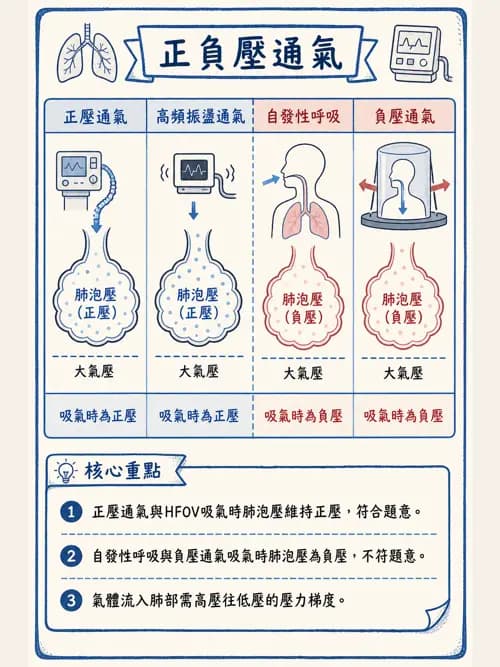呼吸治療師 - 機械通氣生理 - AI 圖文解析預覽