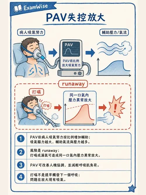 呼吸治療師 - 呼吸器設計與通氣模式 - AI 圖文解析預覽