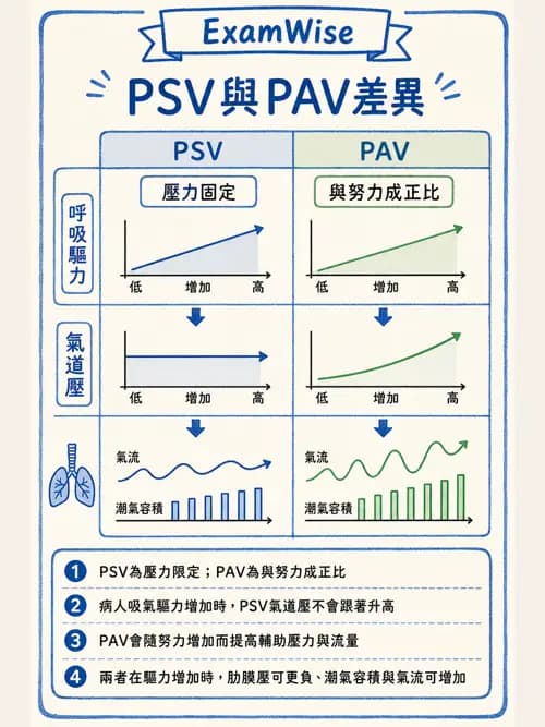 呼吸治療師 - 呼吸器設計與通氣模式 - AI 圖文解析預覽