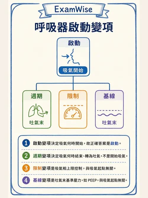 呼吸治療師 - 呼吸器設計與通氣模式 - AI 圖文解析預覽