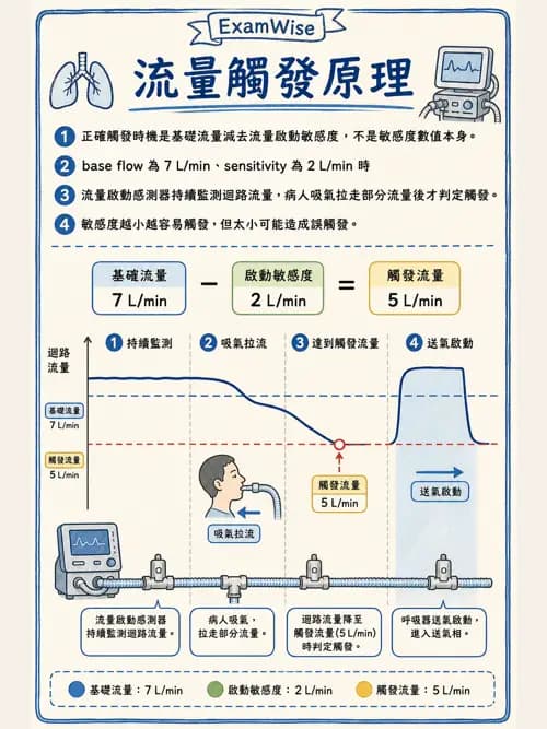 呼吸治療師 - 呼吸器設計與通氣模式 - AI 圖文解析預覽