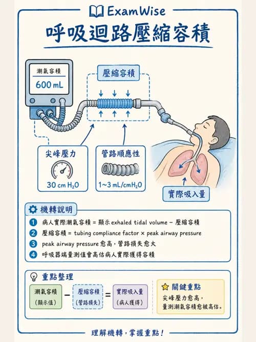 呼吸治療師 - 呼吸器監測與評估 - AI 圖文解析預覽
