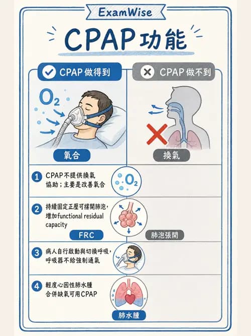 呼吸治療師 - 呼吸器設計與通氣模式 - AI 圖文解析預覽