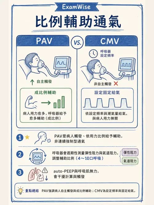 呼吸治療師 - 呼吸器設計與通氣模式 - AI 圖文解析預覽