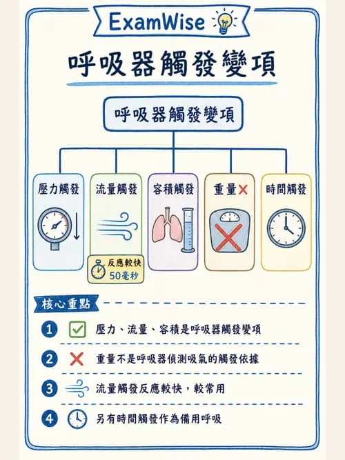 呼吸治療師 - 呼吸器設計與通氣模式 - AI 圖文解析預覽