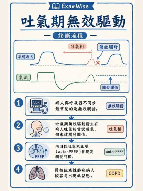 呼吸治療師 - 呼吸器監測與評估 - AI 圖文解析預覽