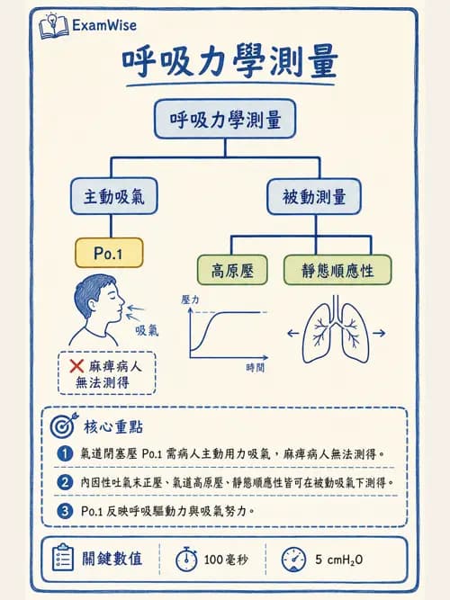 呼吸治療師 - 呼吸器監測與評估 - AI 圖文解析預覽