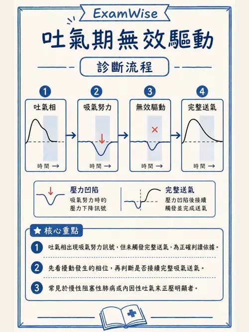 呼吸治療師 - 呼吸器監測與評估 - AI 圖文解析預覽