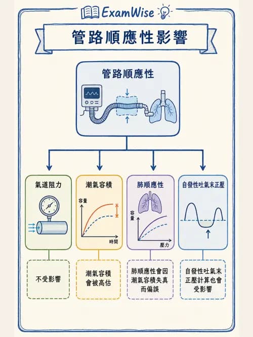 呼吸治療師 - 呼吸器監測與評估 - AI 圖文解析預覽