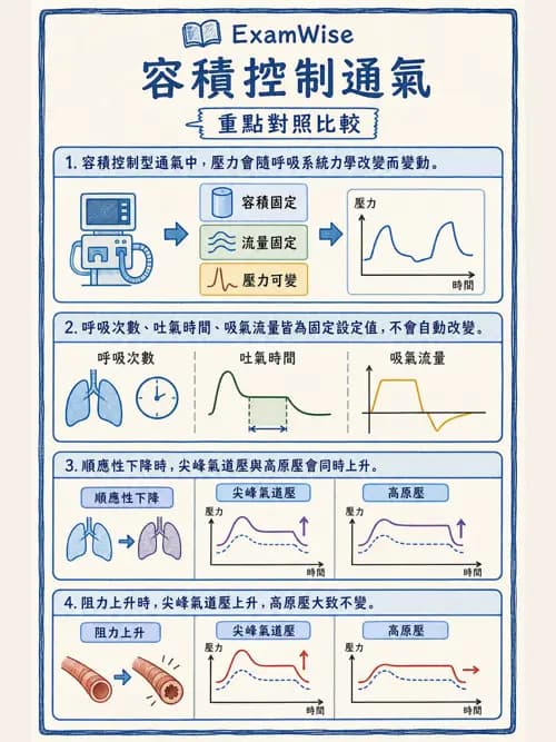 呼吸治療師 - 機械通氣生理 - AI 圖文解析預覽