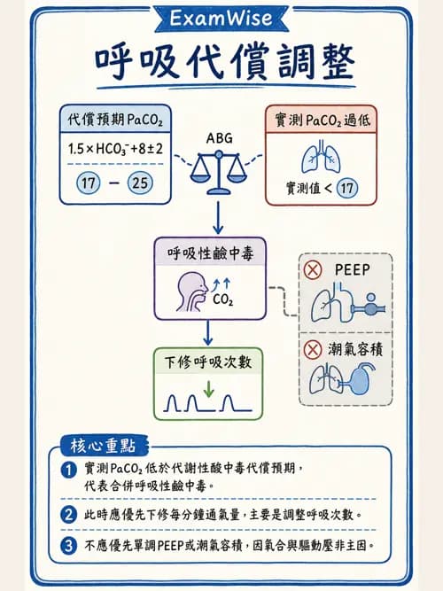 呼吸治療師 - 臨床設定、參數調整與脫離 - AI 圖文解析預覽