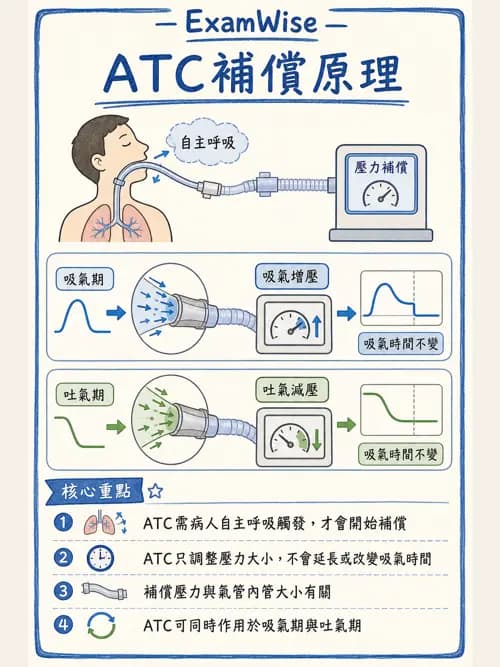 呼吸治療師 - 呼吸器設計與通氣模式 - AI 圖文解析預覽