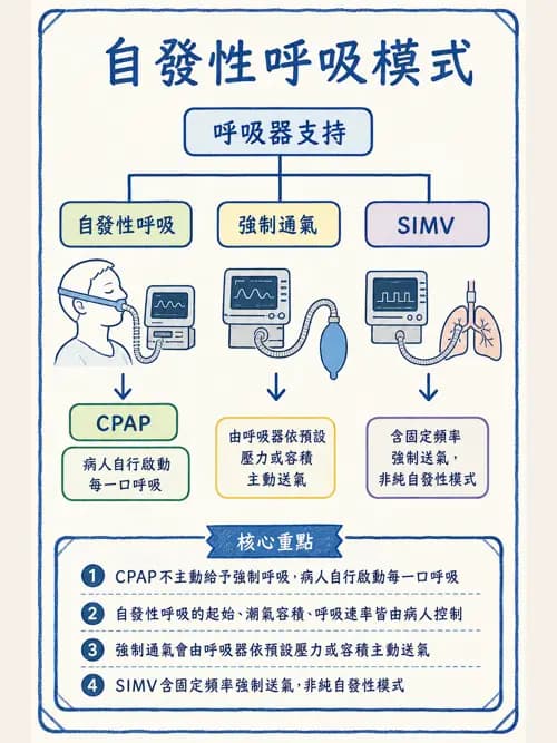呼吸治療師 - 呼吸器設計與通氣模式 - AI 圖文解析預覽