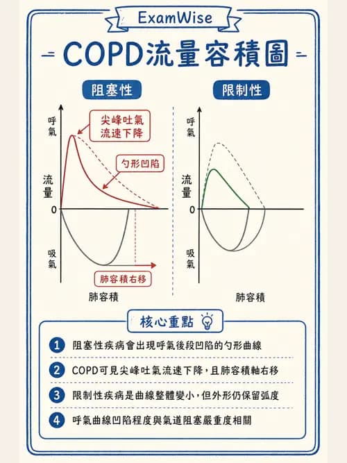 呼吸治療師 - 呼吸器圖形判讀與故障排除 - AI 圖文解析預覽