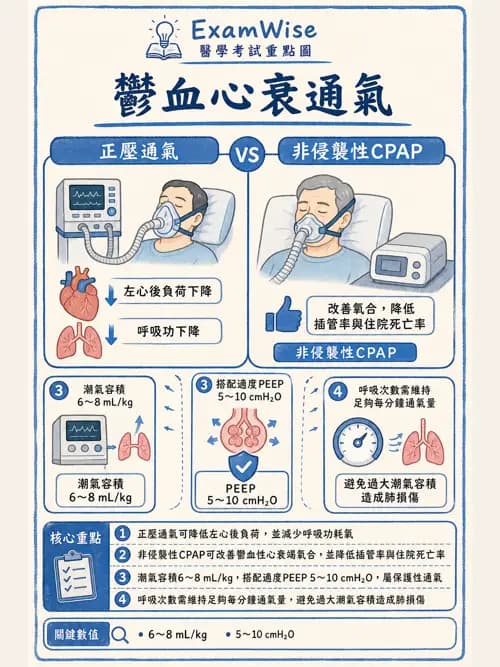 呼吸治療師 - 臨床設定、參數調整與脫離 - AI 圖文解析預覽