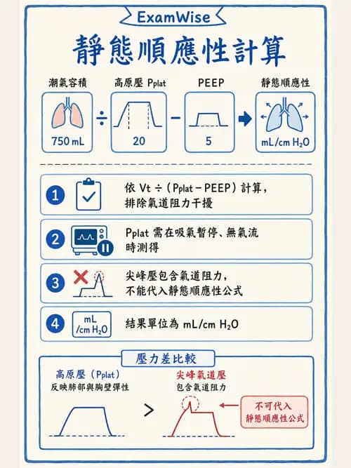 呼吸治療師 - 機械通氣生理 - AI 圖文解析預覽