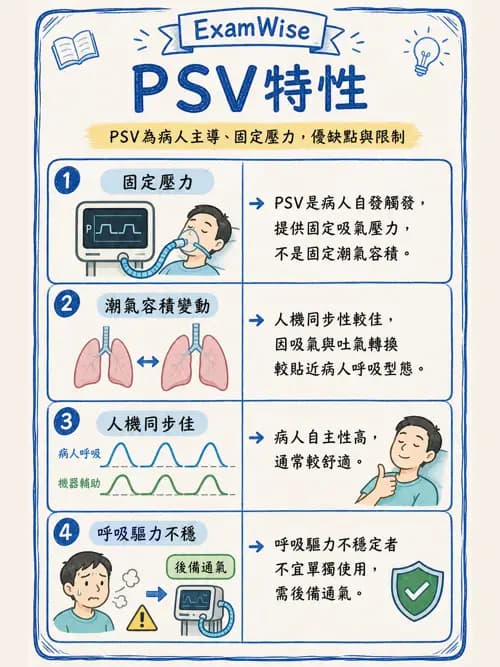 呼吸治療師 - 呼吸器設計與通氣模式 - AI 圖文解析預覽