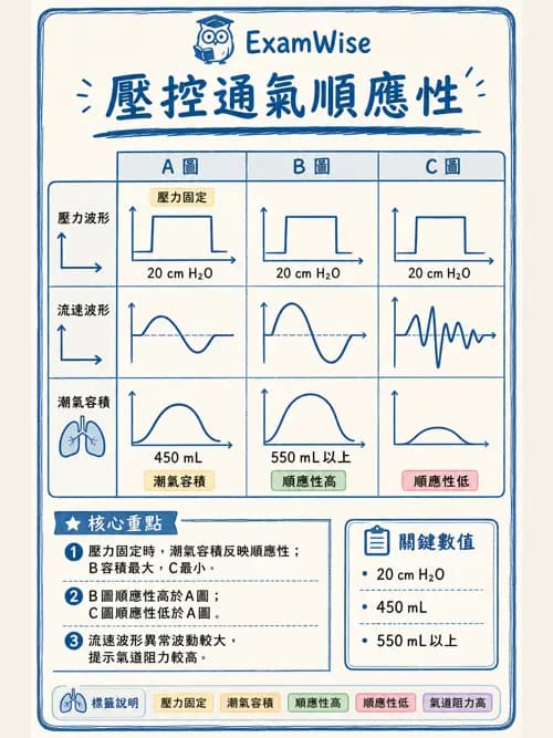 呼吸治療師 - 呼吸器圖形判讀與故障排除 - AI 圖文解析預覽