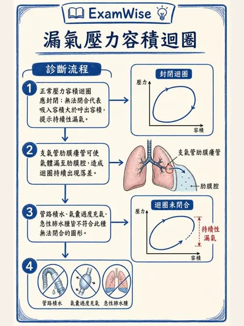呼吸治療師 - 呼吸器圖形判讀與故障排除 - AI 圖文解析預覽
