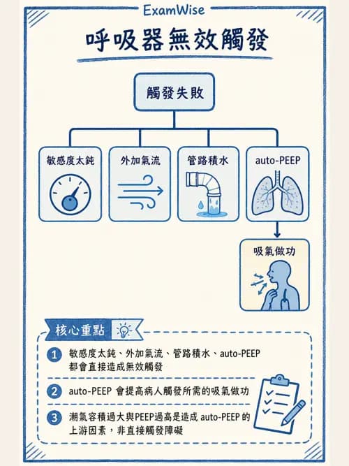 呼吸治療師 - 呼吸器圖形判讀與故障排除 - AI 圖文解析預覽