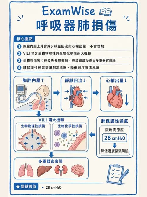 呼吸治療師 - 正壓通氣生理影響與合併症 - AI 圖文解析預覽