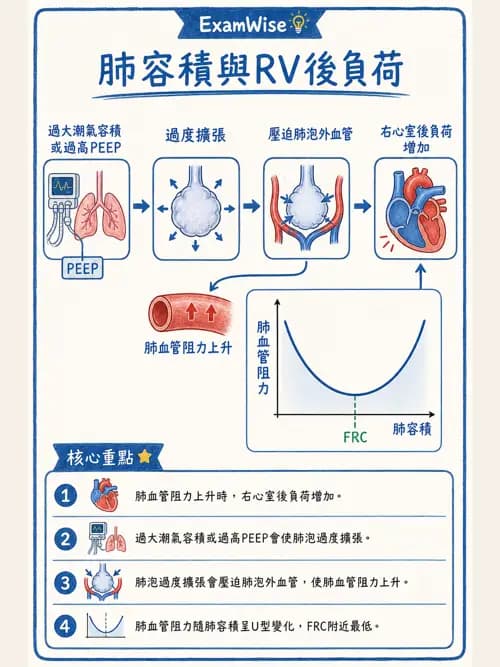 呼吸治療師 - 正壓通氣生理影響與合併症 - AI 圖文解析預覽