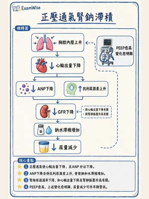 呼吸治療師 - 正壓通氣生理影響與合併症 - AI 圖文解析預覽